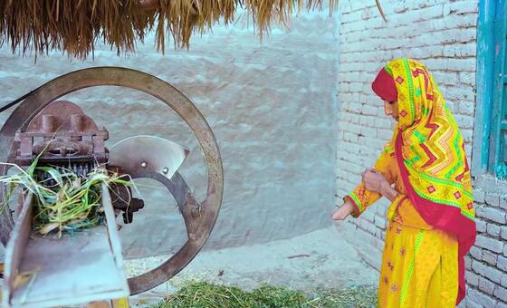 El Sur Global también está invirtiendo en la IA para mejorar la vida de su gente